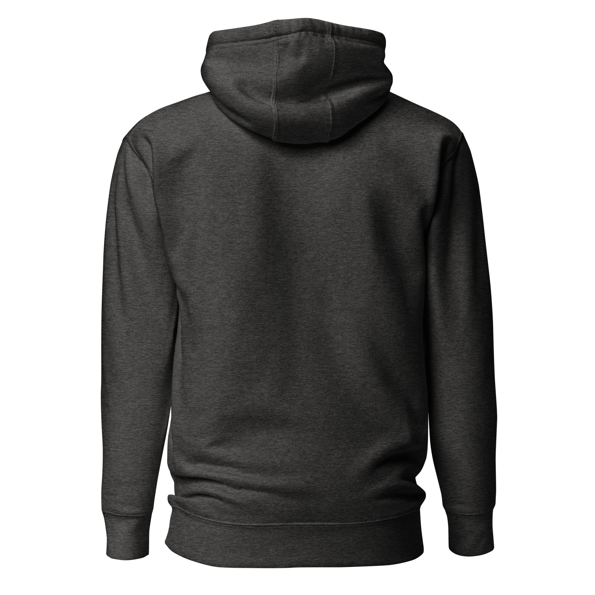 Back view mockup of a premium heavyweight padel lifestyle hoodie by LobStory.