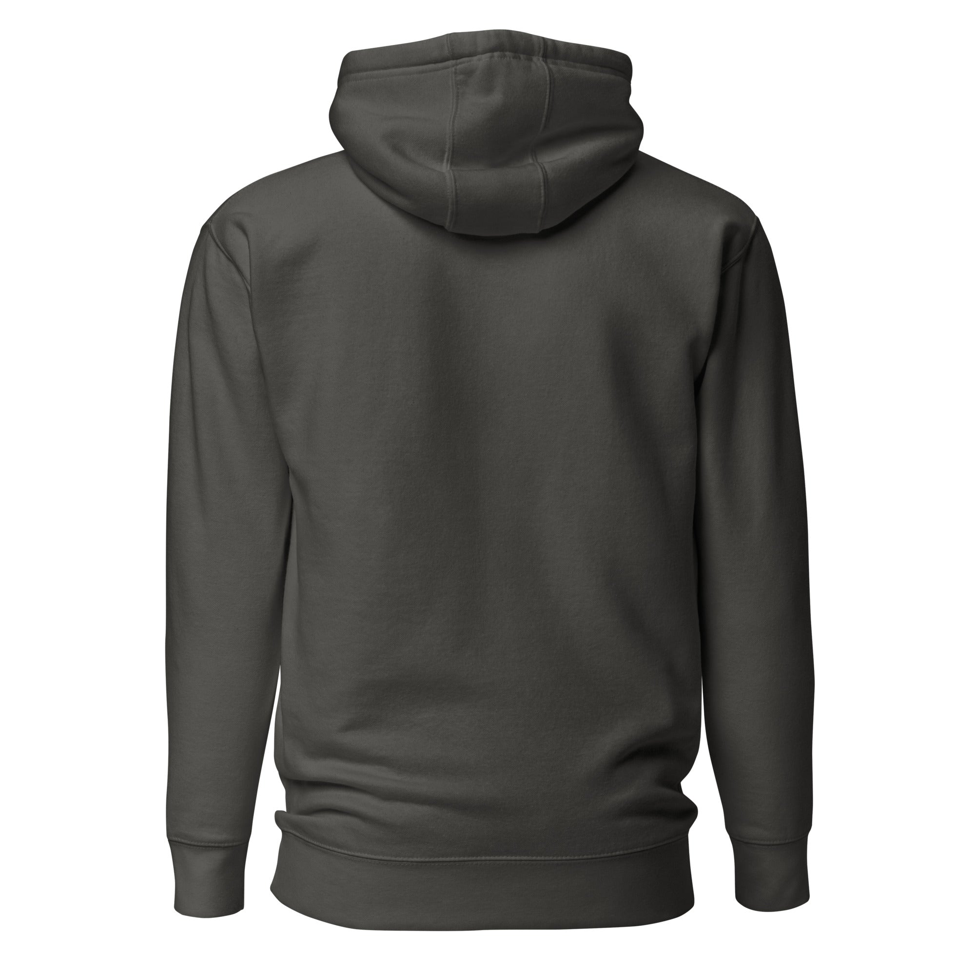 Back view mockup of a premium heavyweight padel lifestyle hoodie by LobStory.