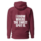 Back view mockup of a premium padel hoodie with bold I Know Where The Sweet Spot Is statement. Lobstory.eu